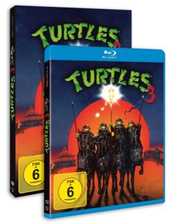 Cover Turtles 3